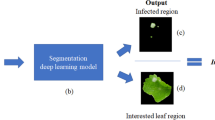 Gray mold and anthracnose disease detection on strawberry leaves using ...