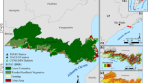 hypothesis on floods