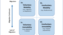 literature review of migration