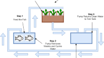 research paper on prawn farming