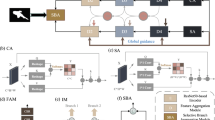 SLENet: A Guidance-Enhanced Network for Underwater Camouflaged Object ...