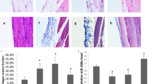 stem cells term paper