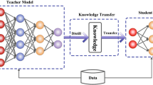 what are data representation techniques