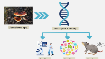 Ganoderma Component Ganoderma proteins and their potential applications in cosmetics ...