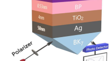 Highly Sensitive Plasmonic Biosensor for the Detection of Chikungunya ...