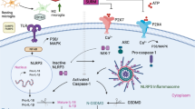semaglutide same as Wegovy vs. Ozempic: Important Differences To Consider