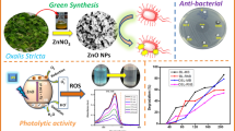 Evaluation of the Antibacterial and Anticancer Properties of Green Zinc ...