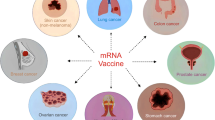 mRNA-based melanoma vaccines targeting gp100 and TRP2 macromolecules ...