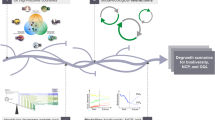 research topics related to sustainable development