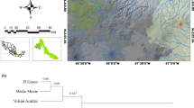 Conservation Genetics of Mexican Beech, Fagus grandifoliavar. mexicana |  Conservation Genetics | Springer Nature Link