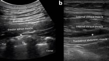 Comparative Effectiveness of Fascial Plane Blocks for Postoperative ...
