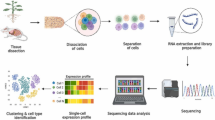 Single-cell transcriptomics: a new frontier in plant biotechnology ...