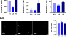Antioxidant and anti-inflammatory effects of selenium in oral buccal mucosa  and small intestinal mucosa during intestinal ischemia-reperfusion injury |  Journal of Inflammation | Springer Nature Link