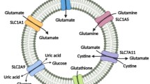 Glutamine to proline conversion is associated with response to glutaminase  inhibition in breast cancer | Breast Cancer Research | Springer Nature Link