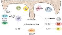 The Immunology of Psoriasis—Current Concepts in Pathogenesis | Clinical ...