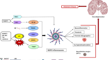 Research Progress in the Molecular Mechanism of NLRP3 Inflammasome in ...