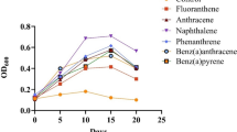 Genomic and biodegradation potential of Bacillus altitudinis DG4 for ...