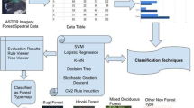 A comprehensive review of tree cover mapping using satellite sensor ...