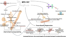 bpc-157 herniated disc study Stable gastric pentadecapeptide BPC 157 can improve the healing course of  spinal cord injury and lead to functional recovery in rats | Journal of  Orthopaedic Surgery and Research