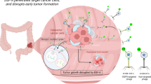 Phage display screening of therapeutic peptide for cancer targeting and ...