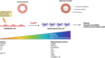Uncovering endothelial to mesenchymal transition drivers in ...