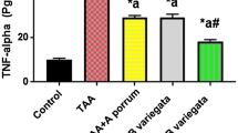 research paper hepatoprotective activity