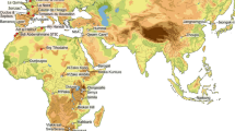 thesis comparison of