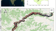 Landslide Hazard Assessment Along Lahru to Chamba, Himachal Pradesh ...