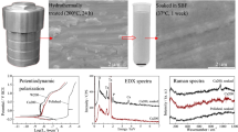Surface characteristics and bioactivity of oxide film on titanium metal ...