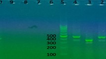 how to take bpc 157 reddit what is bpc 157 reddit BPC-157 / TB-500 Capsules
