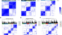 A novel extended belief rule base expert system based on clustering ...