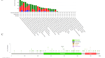 A comprehensive pan-cancer analysis of the prognostic role and ...