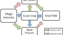 research paper on soil health