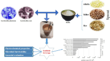 Enhancing synbiotic dairy beverages with chemically cross-linked inulin ...