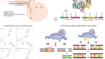 Crispr Rice CRISPR/Cas9 Genome Editing in Rice (Oryza sativa L.) for Multi-Stress ...