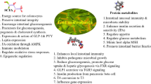 evaluate the food technology company plantible foods on glp-1 diet Top Companies Innovating in GLP-1 Friendly Foods