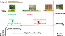 Effects of drought and elevated temperature on biochemical composition ...