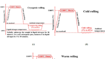 Effect of cold rolling and annealing processes on the microstructure ...
