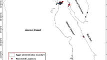 The invasion of the red dwarf honey bee (Apis florea) in Egypt ...
