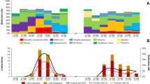 P Rsv Patterns RSV Testing Patterns and Characteristics Associated with RSV Testing ...