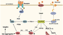 are any glp 1 safe for breastfeeding Navigating GLP-1 and Pregnancy: Insights, Safety, and Postpartum Considerations are any glp 1 safe for breastfeeding Navigating GLP-1 and Pregnancy: Insights, Safety, and Postpartum Considerations