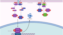 Systemic therapy of atopic dermatitis with Janus kinase inhibitors ...