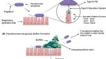 case study of pneumonia in child