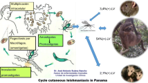 recent literature review on malaria parasite