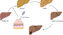 glp 1 agonist liver disease GLP-1 Receptor and Non-Alcoholic Fatty GLP-1/glucagon receptor agonist shows promise