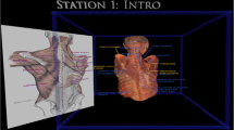 a scoping review on the trends of digital anatomy education