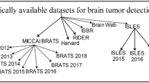 thesis on brain tumor