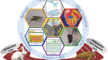 Heterointerface engineering in hierarchical assembly of the Co/Co(OH)2 ...