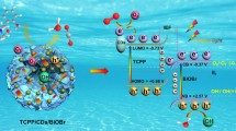 Efficient visible light-driven photocatalytic CO2 reduction by self ...