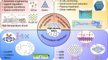 Single-atom catalysts: controlled synthesis and dynamic mechanism in ...
